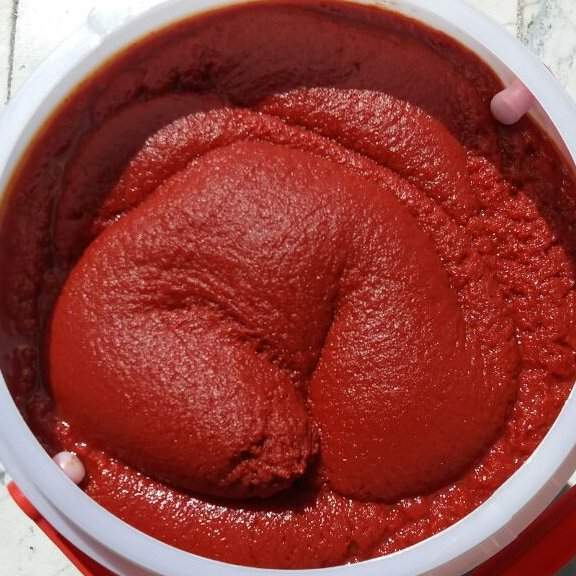 رب گوجه فرنگی عمده غلیظ با کیفیت مناسب مصارف مختلف